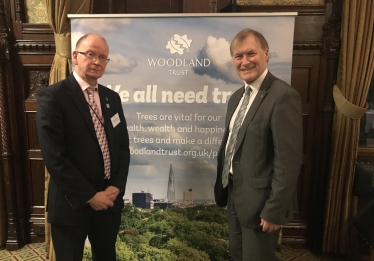 Queen's Commonwealth Canopy